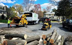 Best Pest Control for Lawns  in , RI