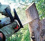  , RI Tree Care Pros