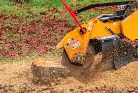 Best Tree Preservation Services  in , RI