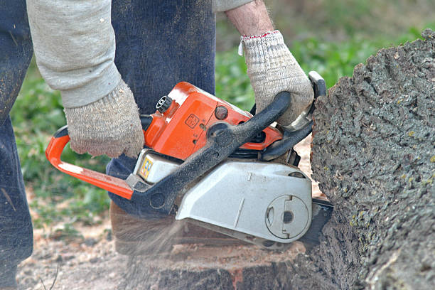 Best Firewood Processing and Delivery  in , RI
